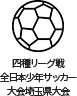 四種リーグ戦 全日本少年サッカー 大会埼玉県大会